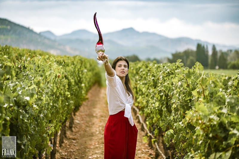 Photo of Napa Valley Tip