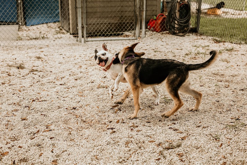 Photo of Happy Pets