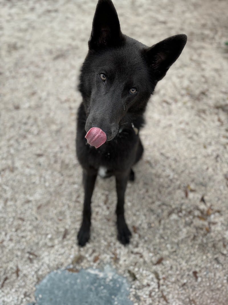 Happy Pets photo 4