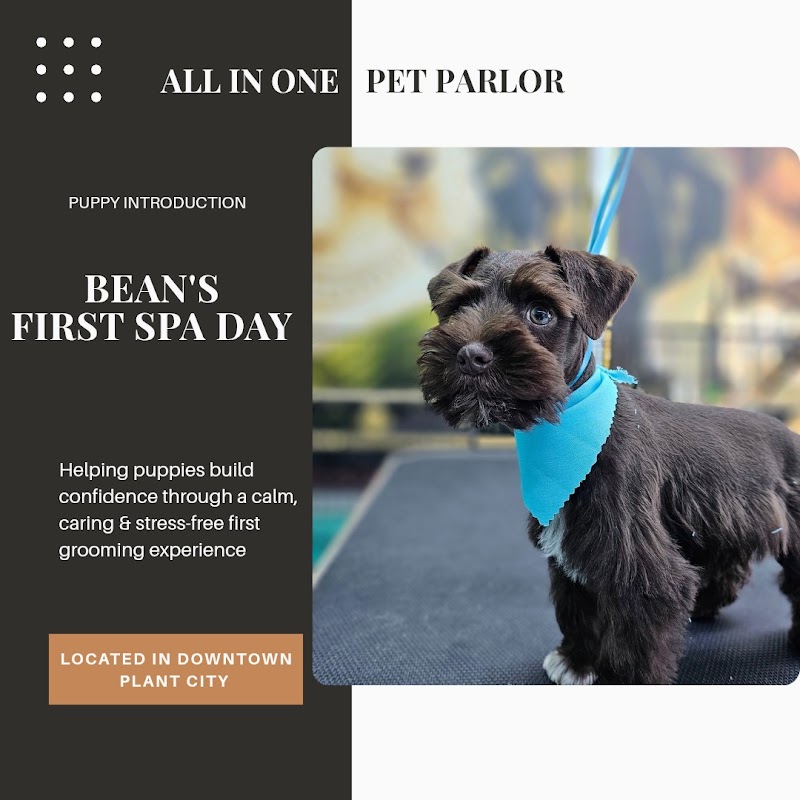 Photo of All In One Pet Parlor - Dog & Cat Grooming