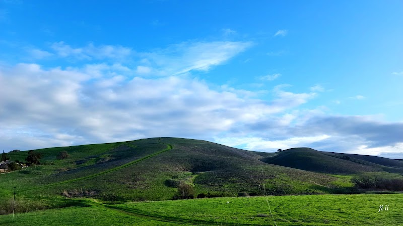 Photo of North Lime Ridge Labyrinth