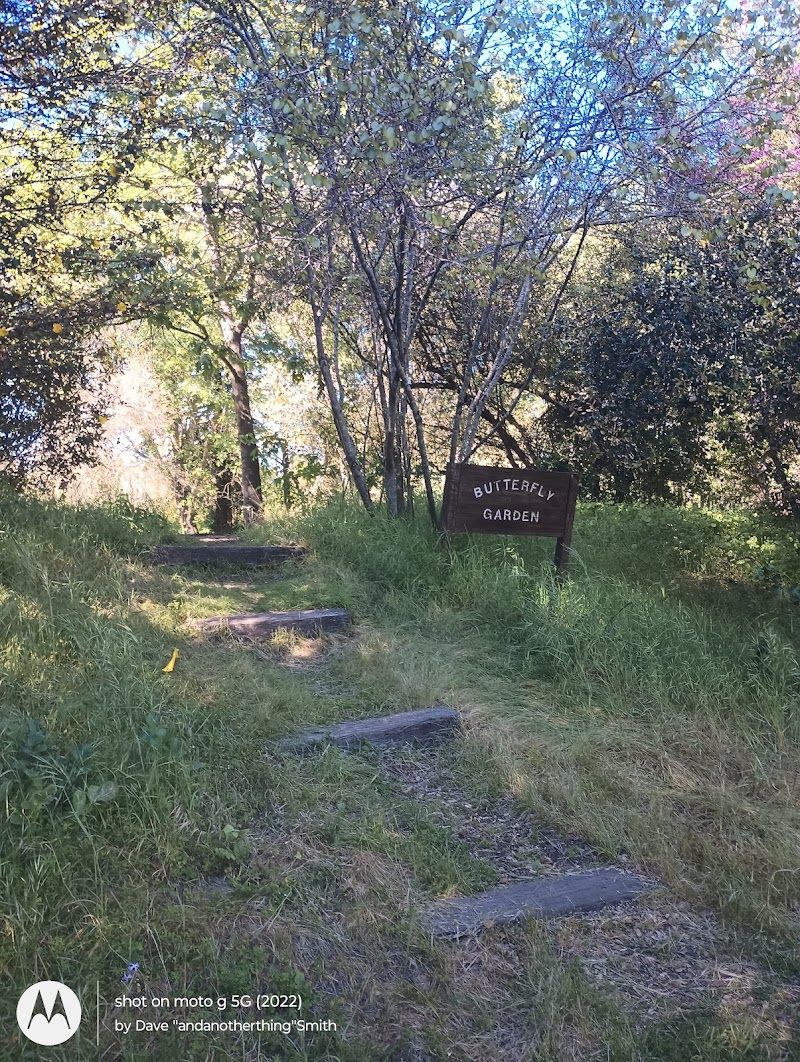 Photo of Sonoma State University Butterfly Garden