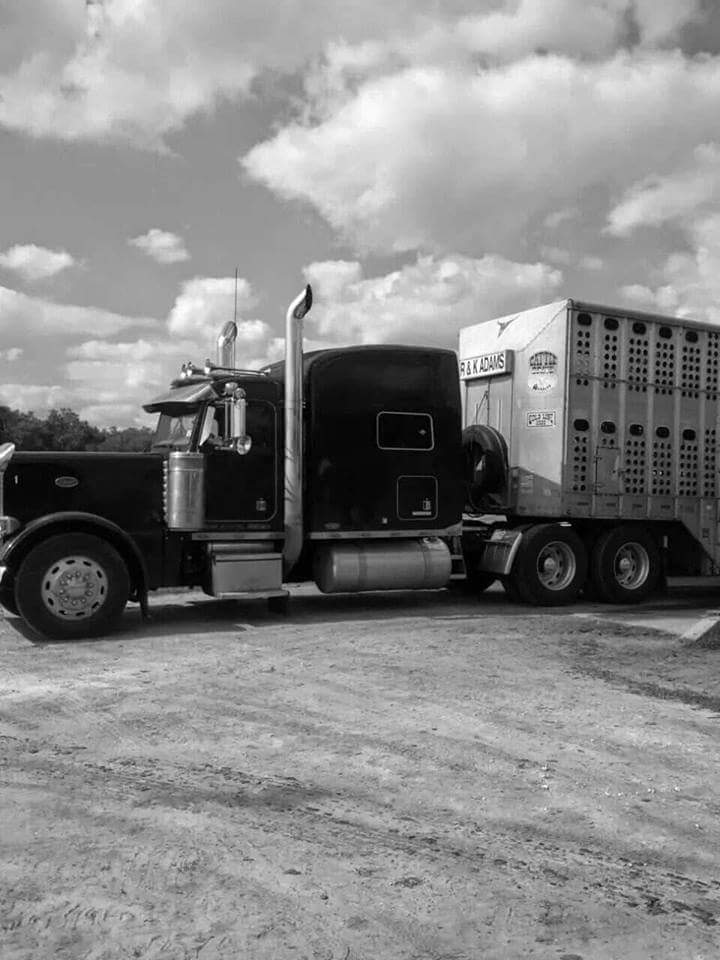 Center Hill CATTLE TRAILER Washout photo 4