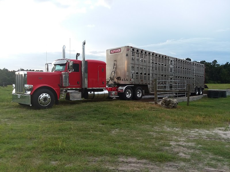 Photo of Center Hill CATTLE TRAILER Washout