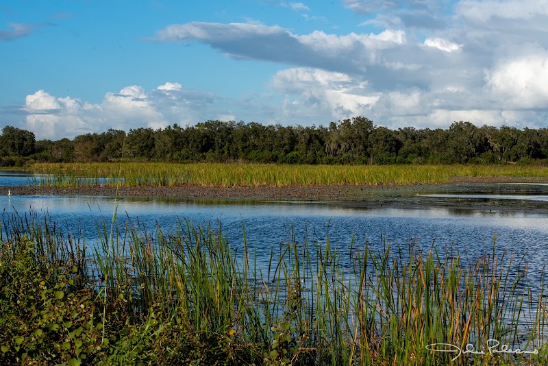 Photo of Marshall Hampton Reserve
