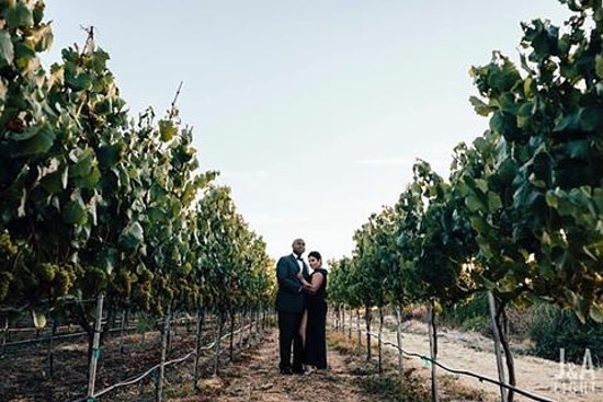 Valley Vacay Limo & Wine Tours photo 4