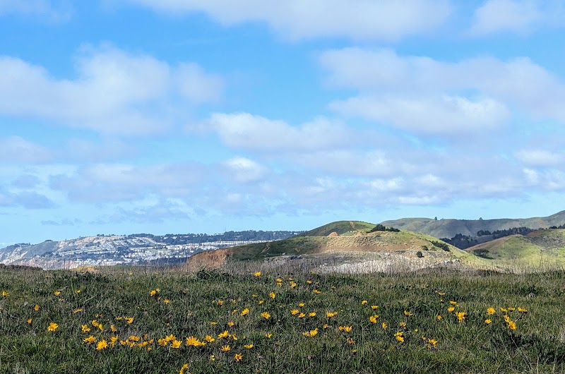 Aramai Point photo 5