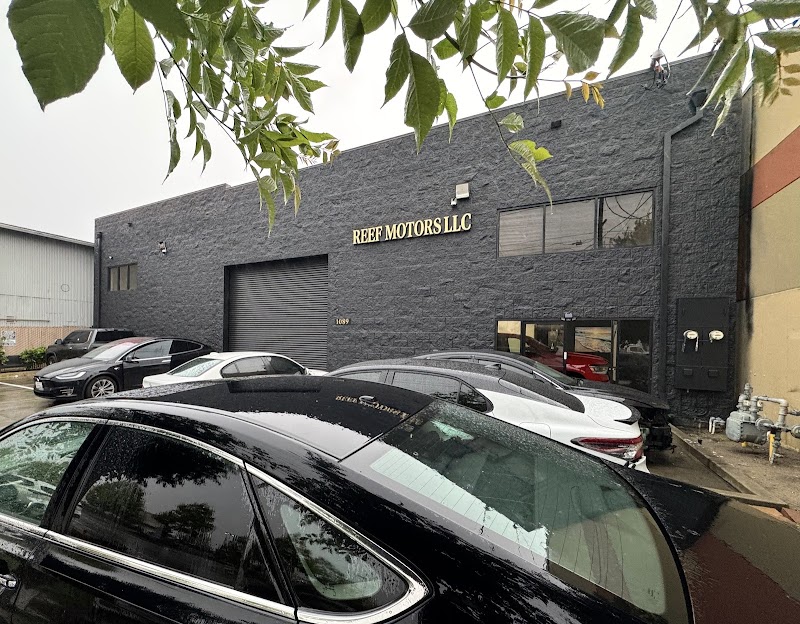 Photo of Reef Motors LLC