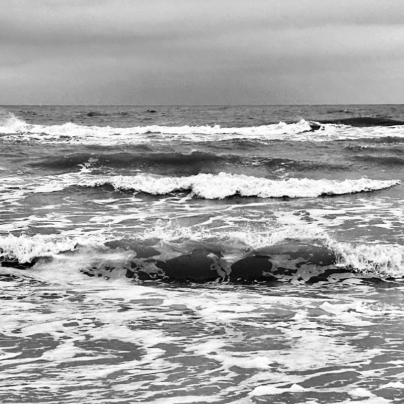 Sand Dollar Pier photo 4