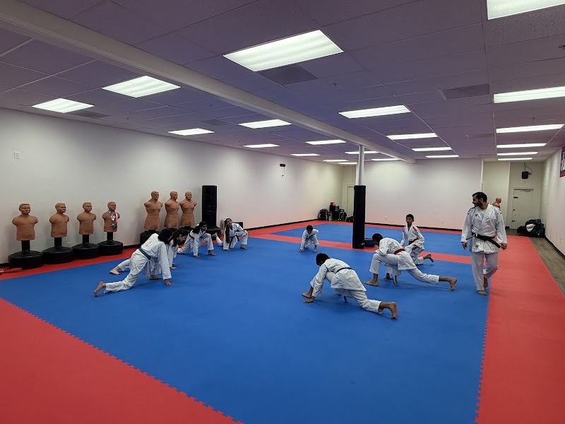 Summit Karate Academy photo 2