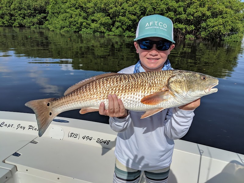 Stealth Fishing Charters of Tampa Bay photo 3