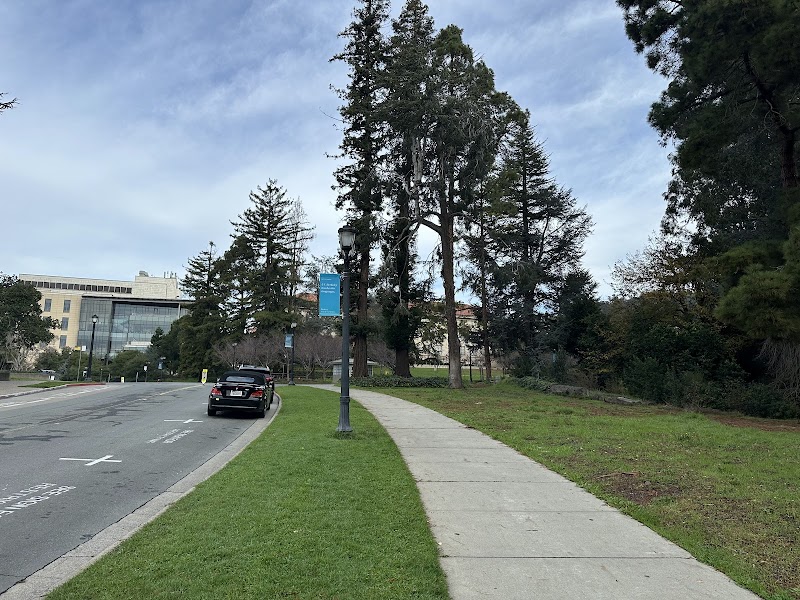 BAMPFA Parking Lot photo 4
