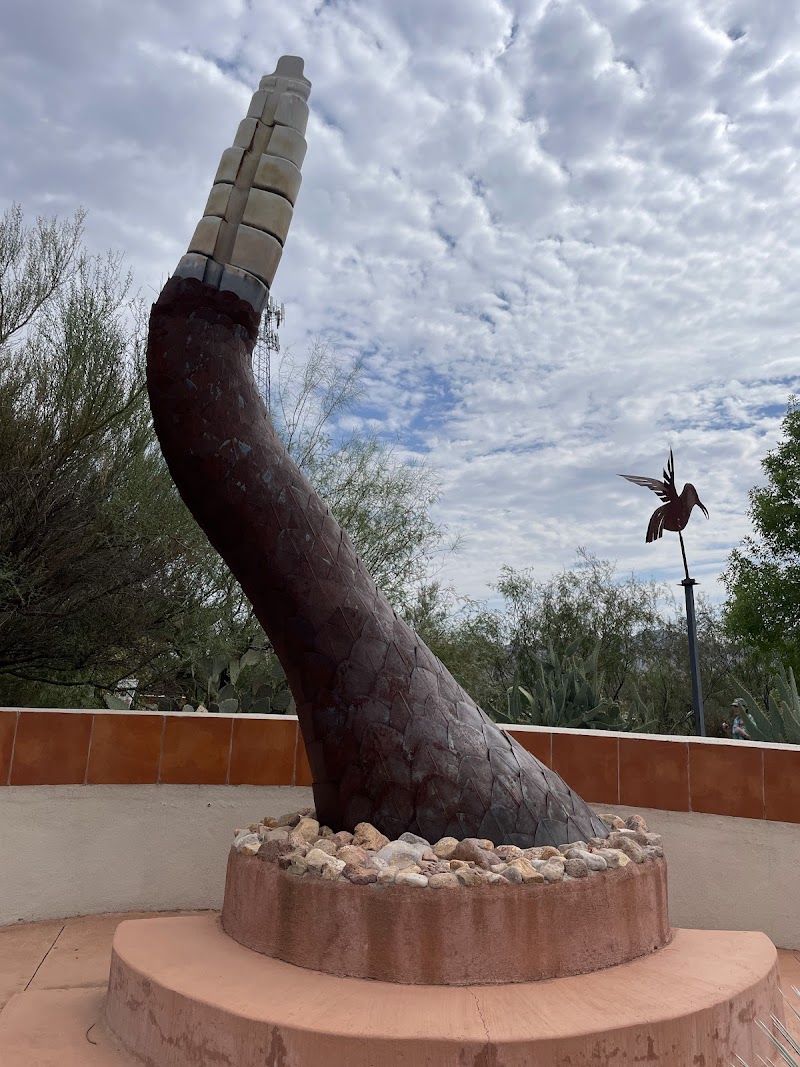The Chiricahua Desert Museum photo 2