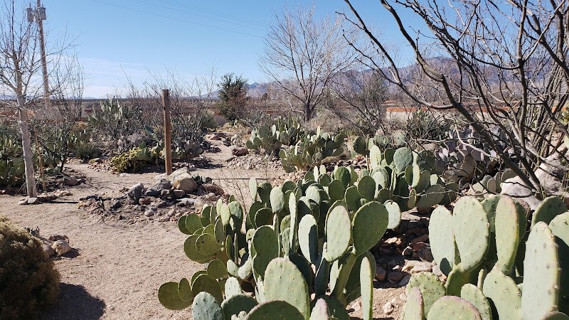 The Chiricahua Desert Museum photo 4