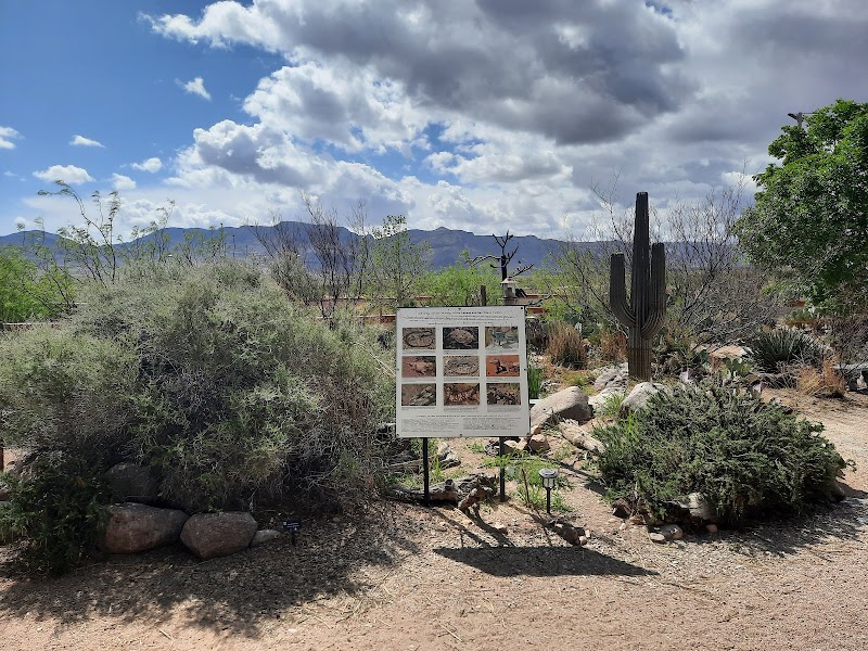 The Chiricahua Desert Museum photo 5