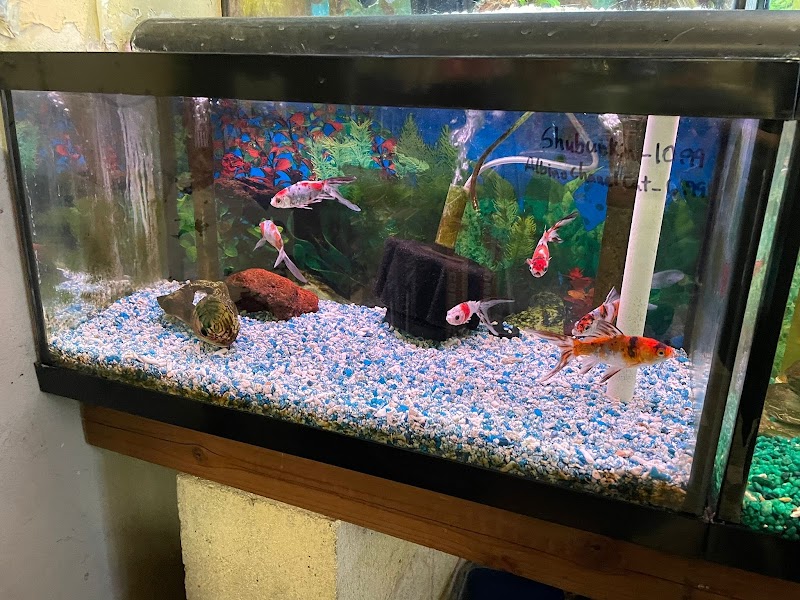 Superway Aquarium photo 4