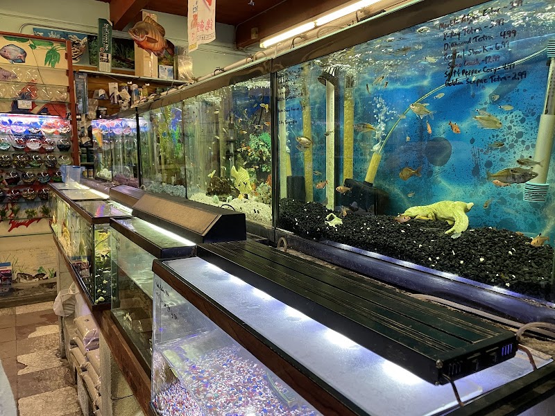 Superway Aquarium photo 5