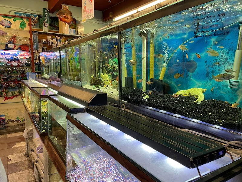 Superway Aquarium photo 2