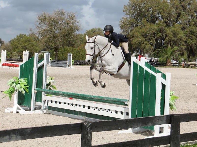 Distinctive Stables photo 3