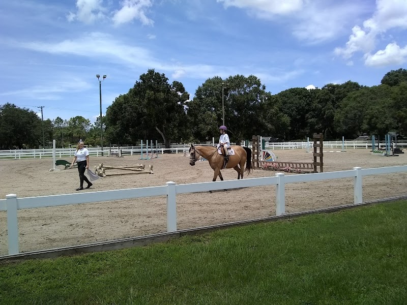 Distinctive Stables photo 4