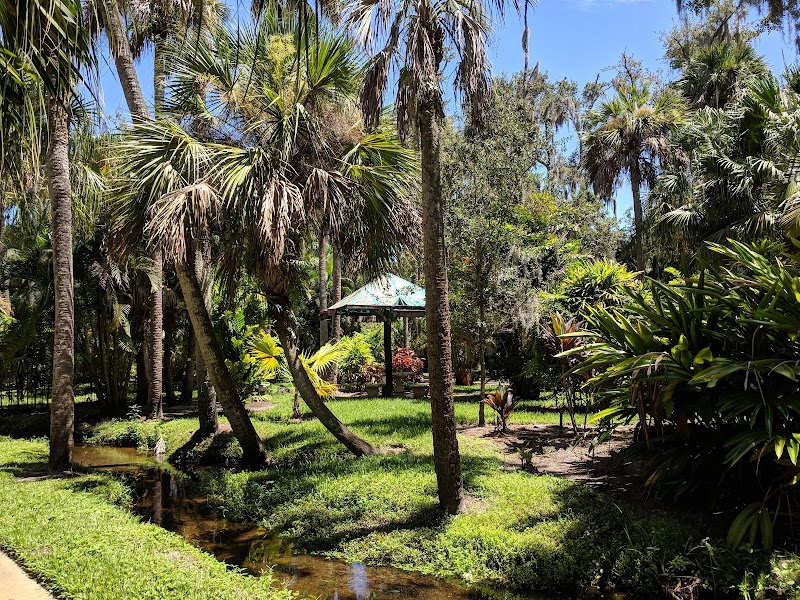 Joy & Gordon Patterson Botanical Garden photo 3