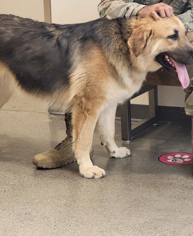 Vetco Total Care Animal Hospital photo 5
