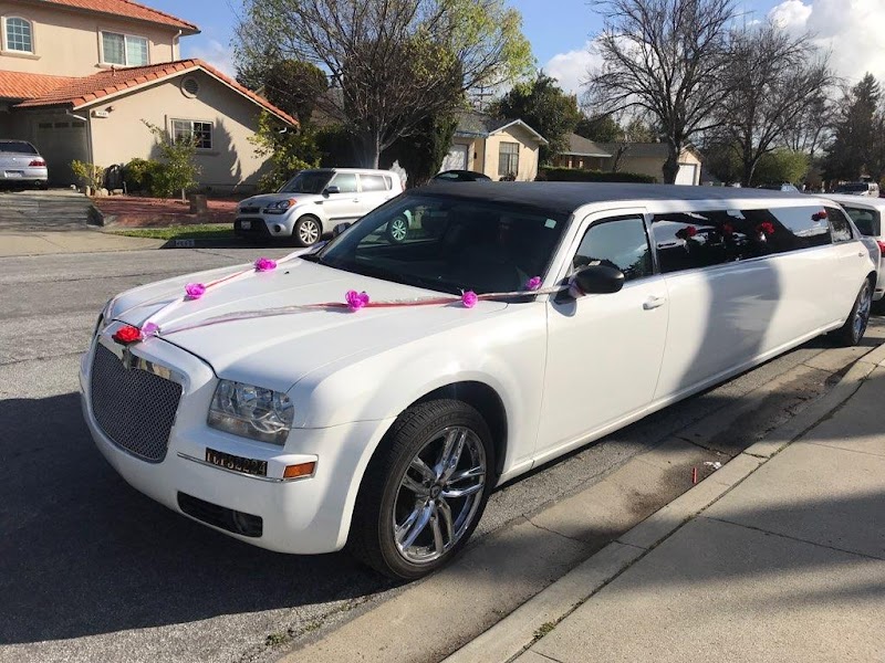 TRI VALLEY LIMOUSINE photo 5