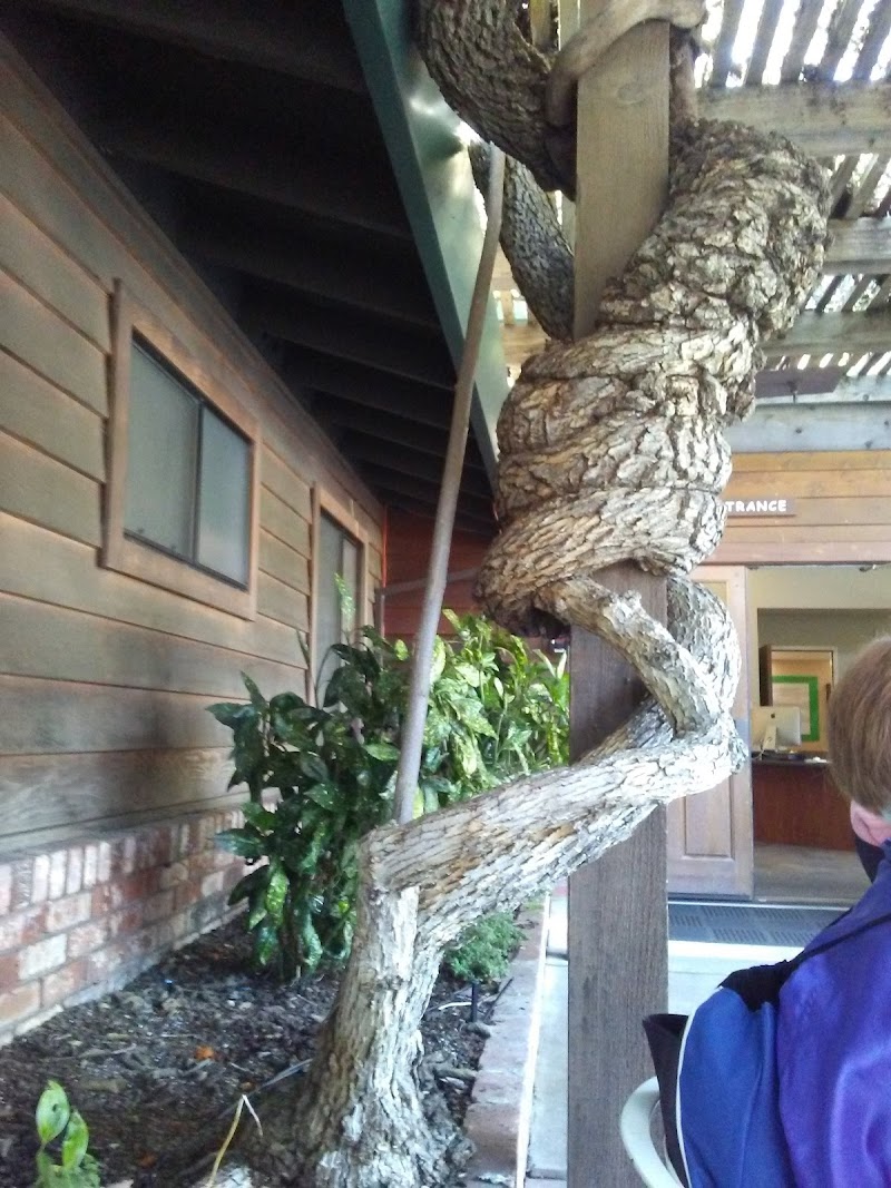 Fern Lodge Inc. photo 4