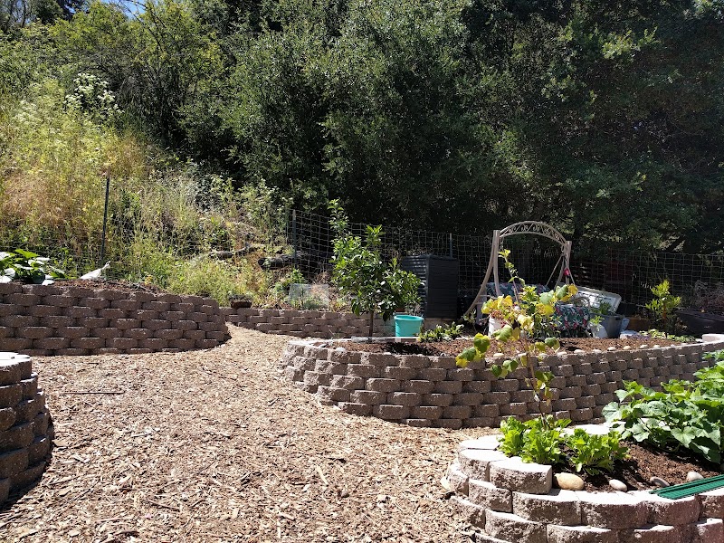 Fern Lodge Inc. photo 2