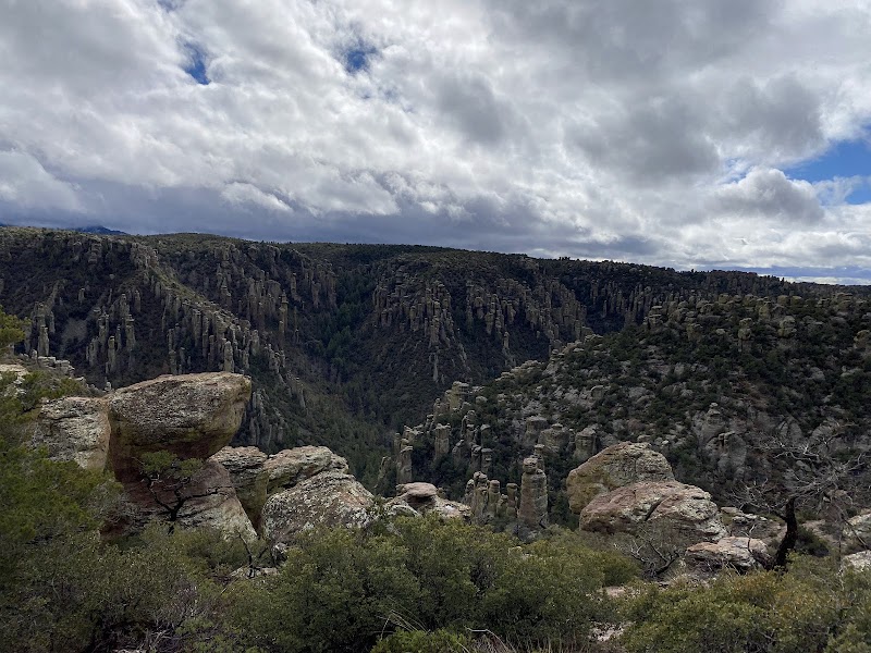 Chiricahua Regional Museum photo 5