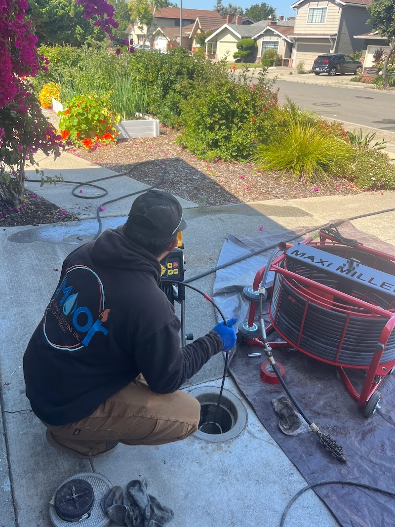Moor Trenchless Plumbing Inc. photo 4
