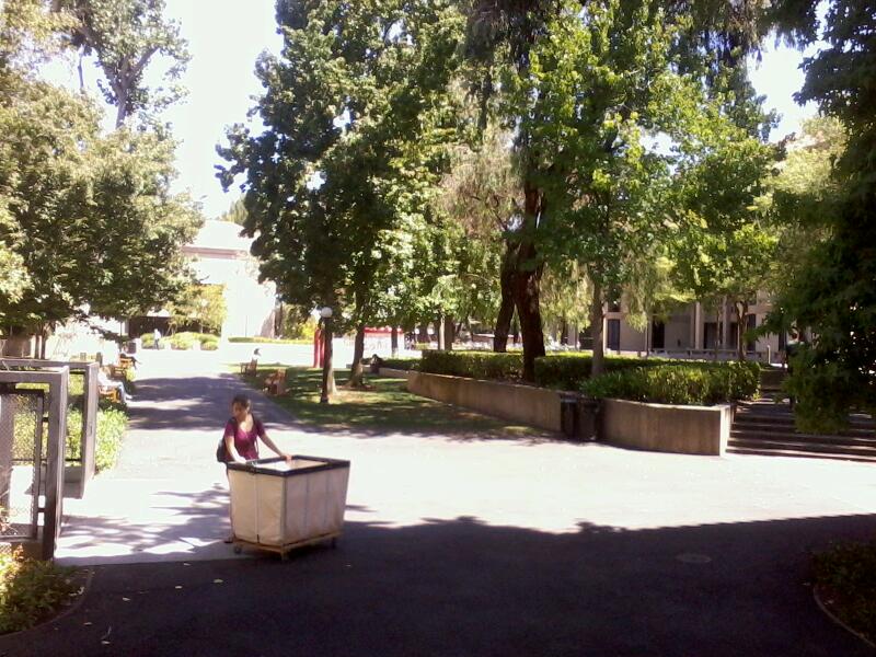 Photo of Cubberley Education Library