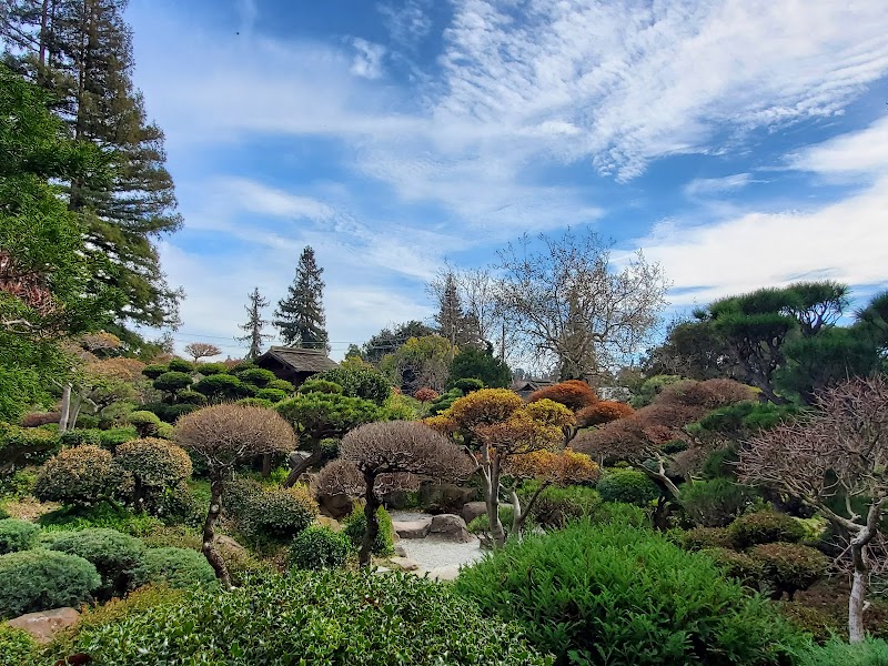 Hayward Japanese Gardens photo 3