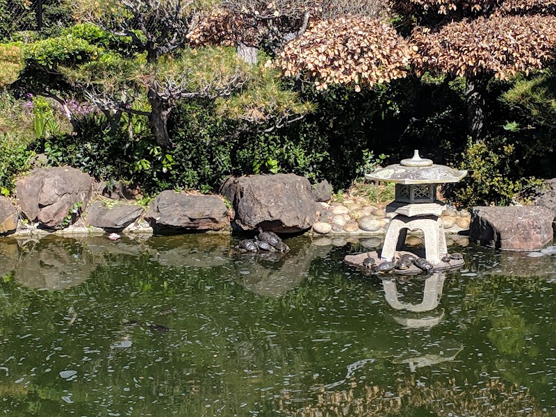 Hayward Japanese Gardens photo 2