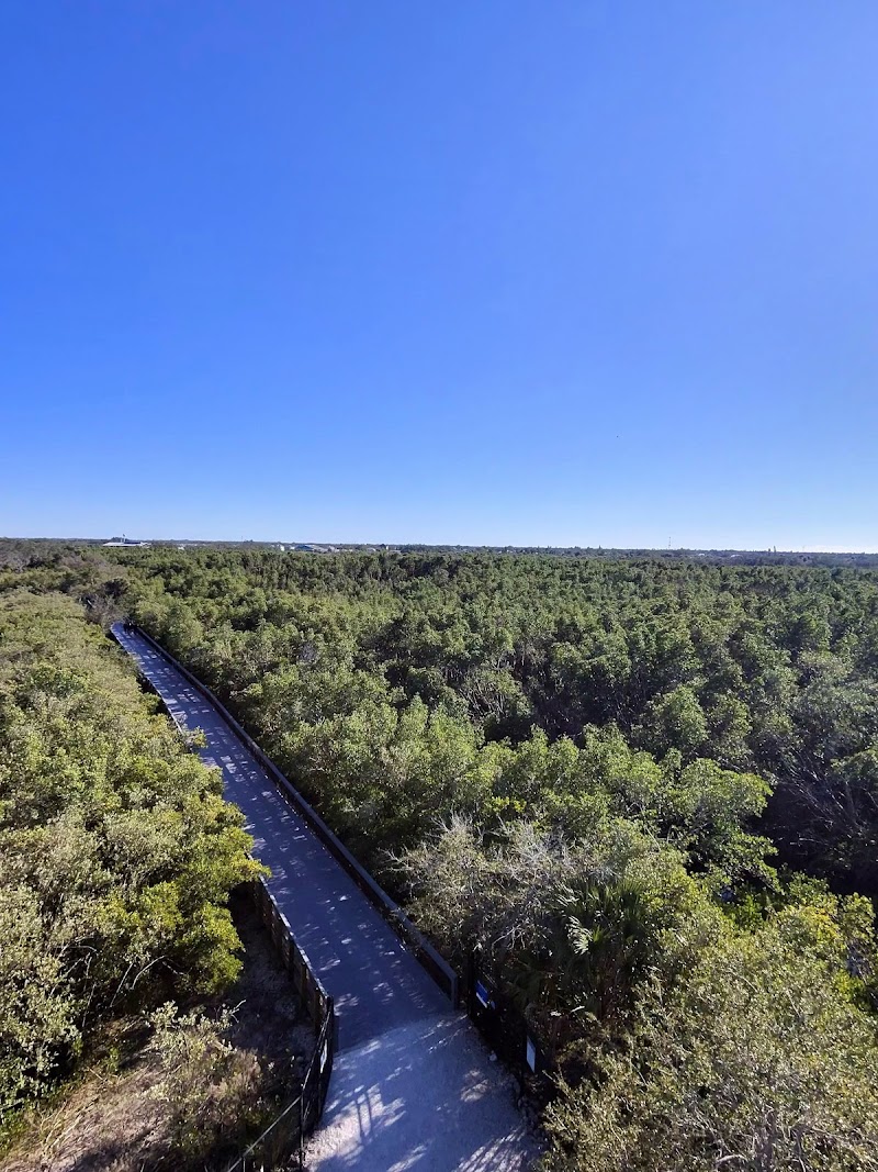 Newman Creek photo 3