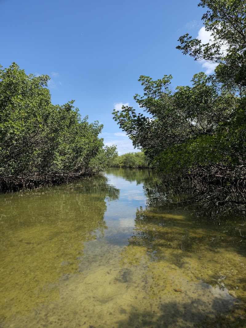 Newman Creek photo 5