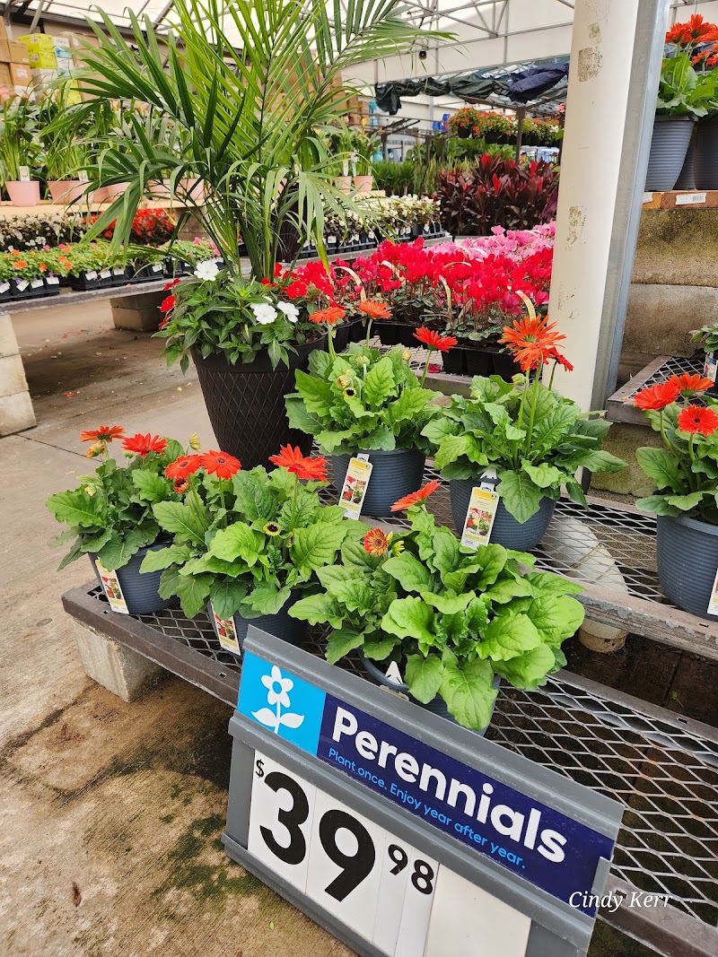 Lowe's Garden Center photo 4