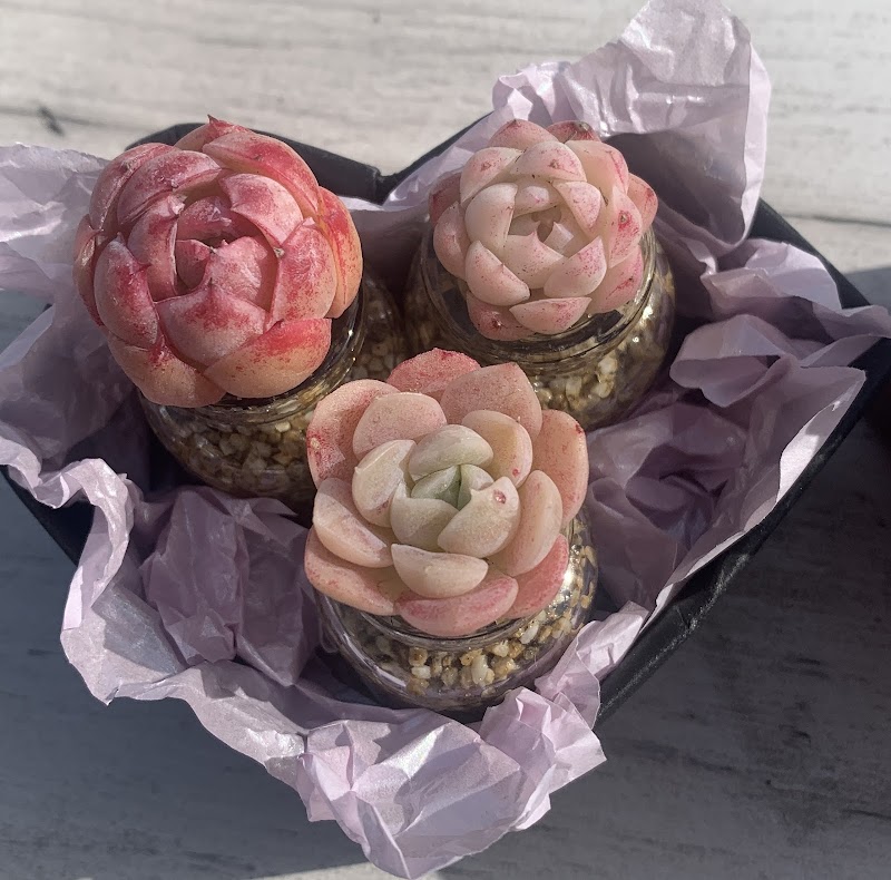 RDDsucculents photo 5