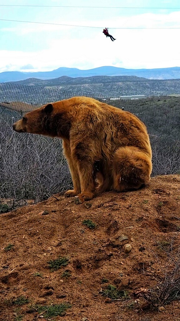 Photo of Out of Africa Wildlife Park
