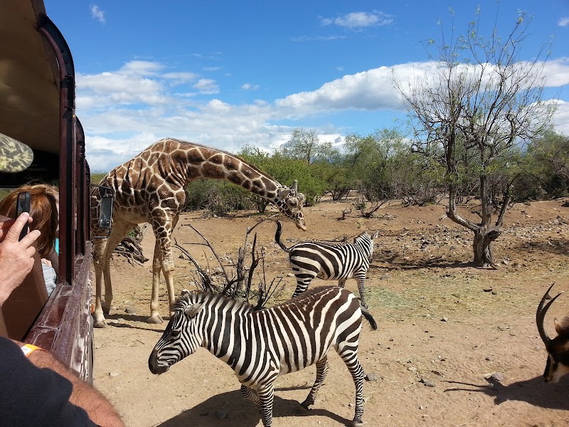 Out of Africa Wildlife Park photo 2