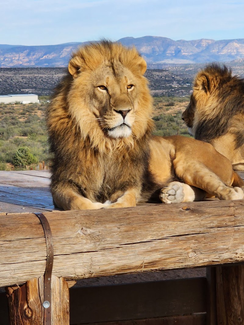 Out of Africa Wildlife Park photo 3