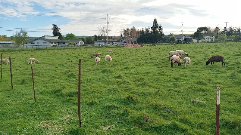 Photo of Gophers Galore Ranch