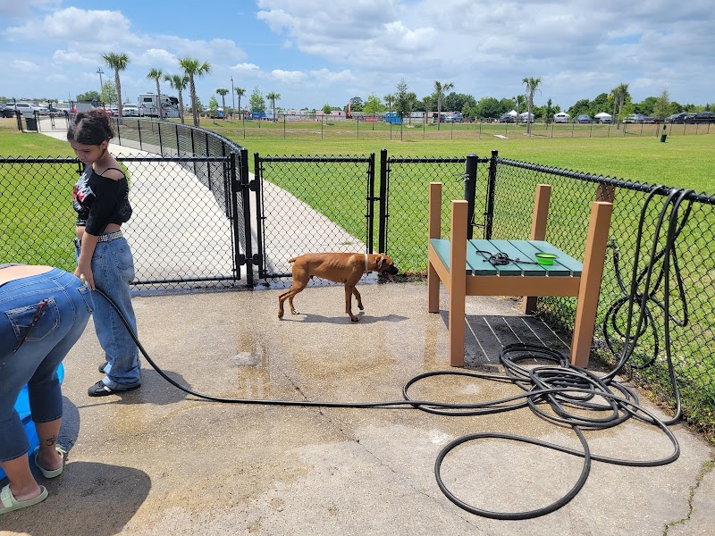 Auburndale Dog Park photo 3
