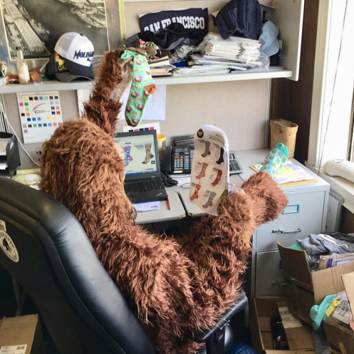Bigfoot Sock Co. photo 5