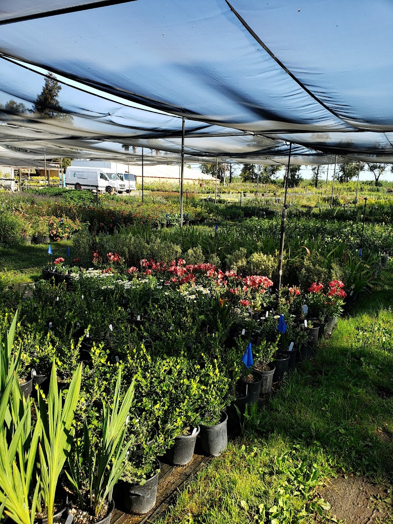 Lemuria Nursery photo 5