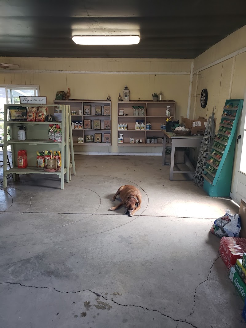 Lemuria Nursery photo 2