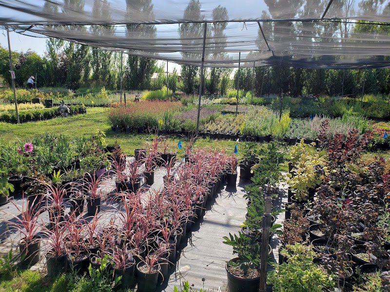 Lemuria Nursery photo 3