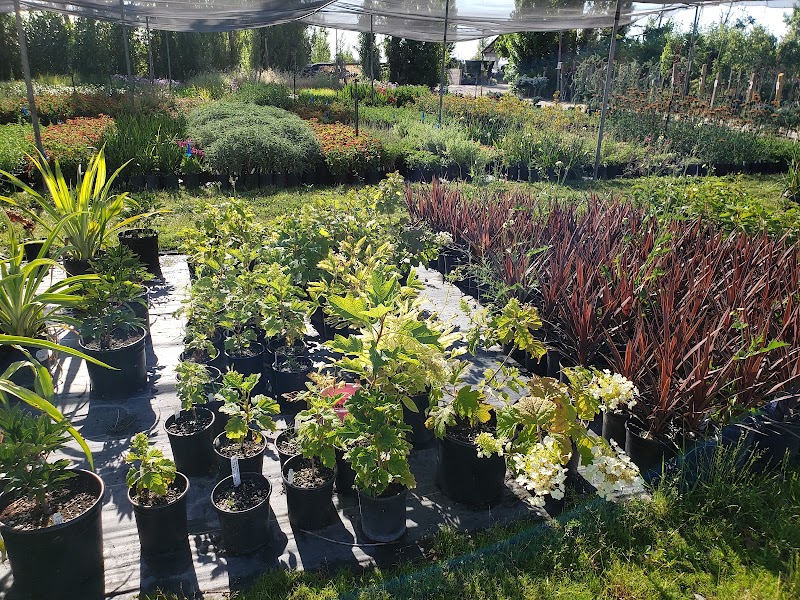 Photo of Lemuria Nursery