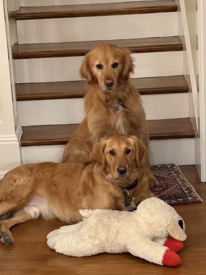 Smilin Dogs photo 4