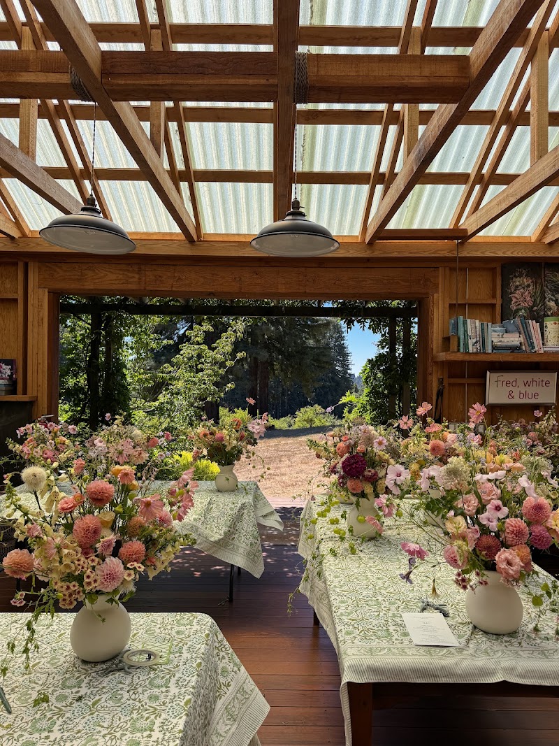 Maison Fiori photo 4
